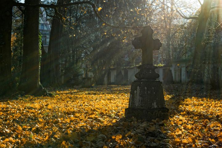 A cross monument in a cemetery surrounded by fallen autumn leaves with sunrays filtering through trees.